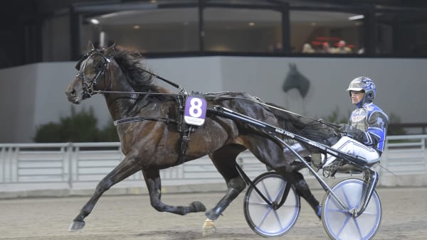 Foto: LARS JAKOBSSON / TR BILD
