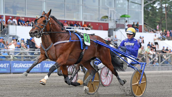 Foto: MALIN ALBINSSON / TR BILD