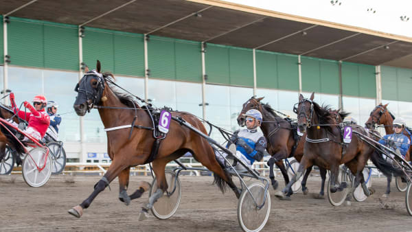 Foto: MIKAEL ROSENQUIST / TR BILD