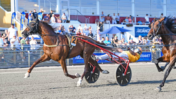 Foto: MALIN ALBINSSON / TR BILD