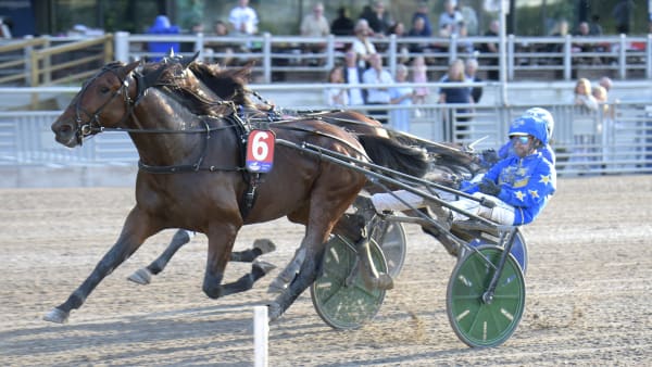 Foto: MARTIN LANGELS/ALN