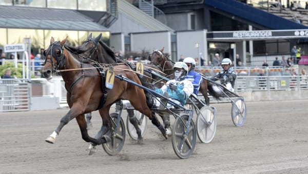 Foto: LARS JAKOBSSON / TR BILD
