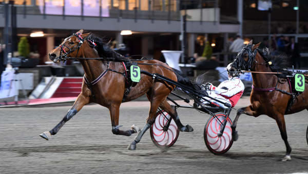 Foto: MALIN ALBINSSON / TR BILD