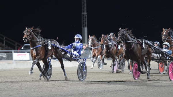 Foto: LARS JAKOBSSON / TR BILD