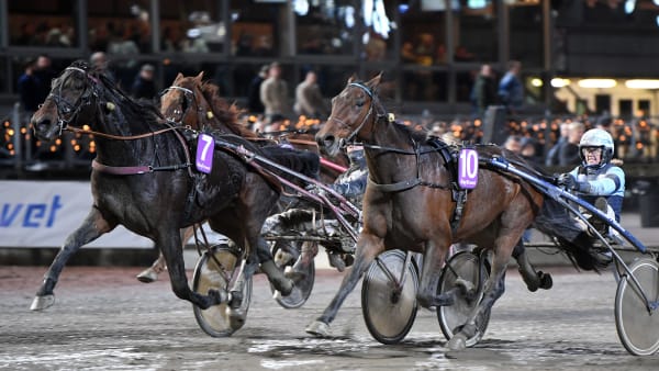 Foto: MALIN ALBINSSON / TR BILD
