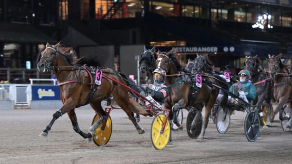 Foto: LARS JAKOBSSON / TR BILD