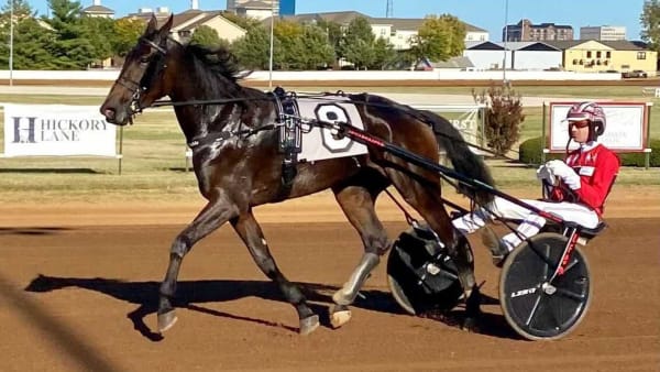 Foto: MARKUS JALSBORN/TR BILD