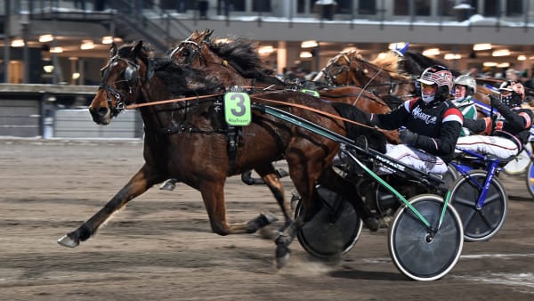 Foto: MALIN ALBINSSON / TR BILD