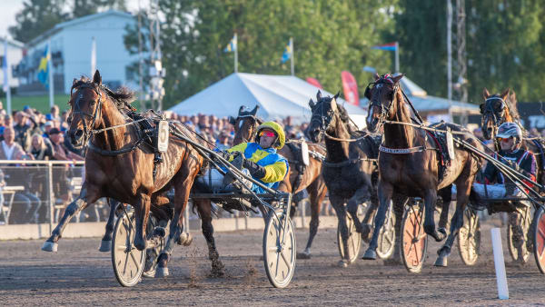 Foto: MIKAEL ROSENQUIST / TR BILD