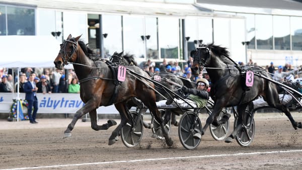 Foto: MALIN ALBINSSON / TR BILD