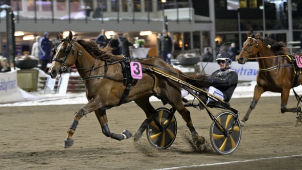 Foto: MALIN ALBINSSON / TR BILD