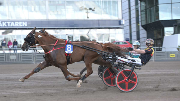 Foto: LARS JAKOBSSON / TR BILD