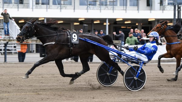 Foto: MALIN ALBINSSON / TR BILD