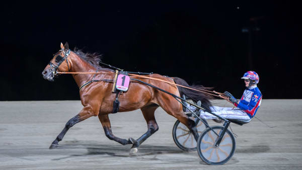 Foto: MIKAEL ROSENQUIST / TR BILD