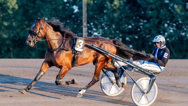 Foto: MIKAEL ROSENQUIST / TR BILD