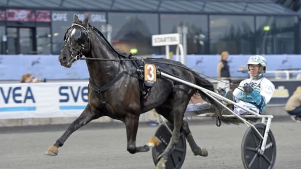 Foto: LARS JAKOBSSON / TR BILD
