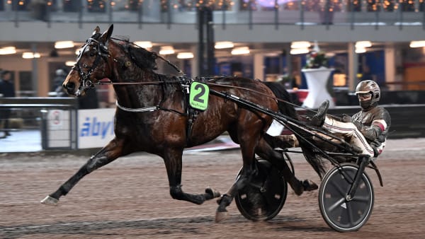 Foto: MALIN ALBINSSON / TR BILD