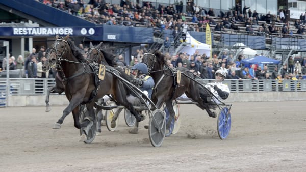 Foto: LARS JAKOBSSON / TR BILD