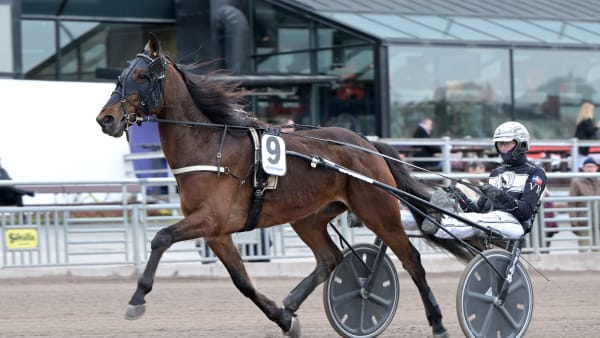 Foto: LARS JAKOBSSON / TR BILD