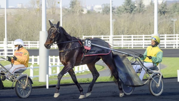 Foto: LARS JAKOBSSON / TR BILD