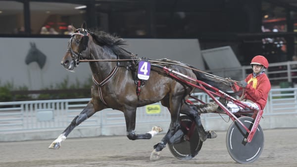 Foto: LARS JAKOBSSON/TR BILD