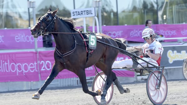 Foto: LARS JAKOBSSON / TR BILD