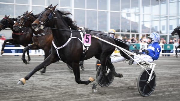 Foto: MALIN ALBINSSON / TR BILD