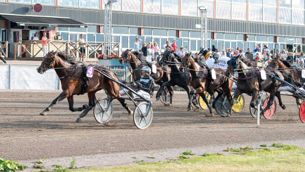 Foto: MIKAEL ROSENQUIST / TR BILD