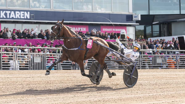 Foto: LENA EMMOTH / TR BILD