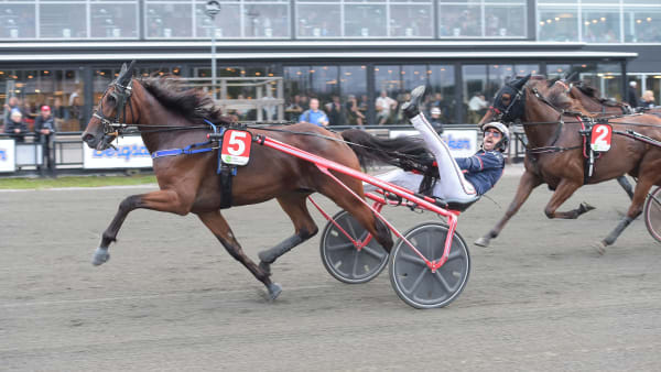 Foto: LARS JAKOBSSON / TR BILD