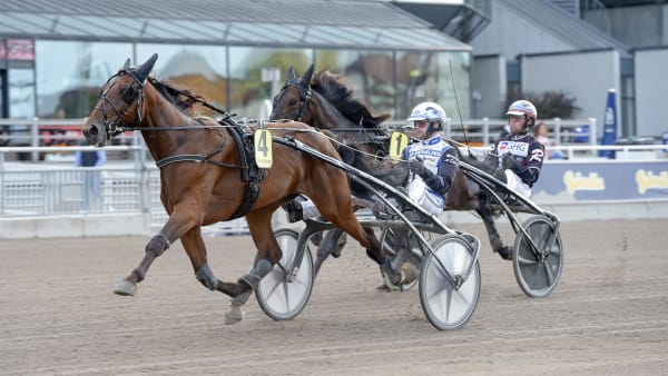 Foto: LARS JAKOBSSON / TR BILD