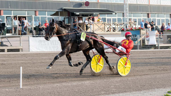 Foto: MIKAEL ROSENQUIST / TR BILD