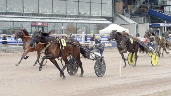 Foto: LARS JAKOBSSON / TR BILD