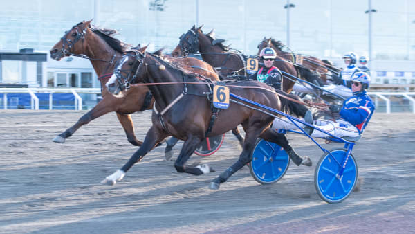 Foto: MIKAEL ROSENQUIST / TR BILD