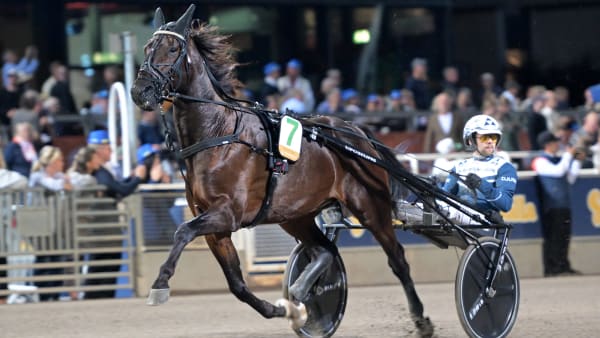 Foto: LARS JAKOBSSON / TR BILD