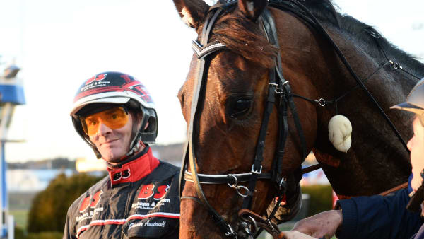 Foto: MALIN ALBINSSON / TR BILD