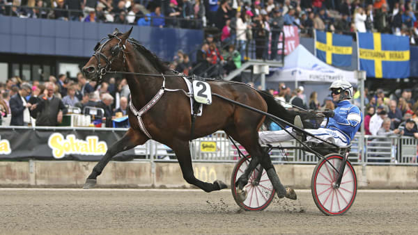 Foto: MARIA HOLMÉN / TR BILD