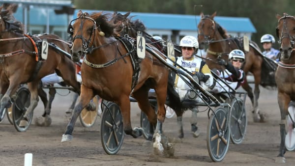 Foto: MARIA HOLMÉN / TR BILD