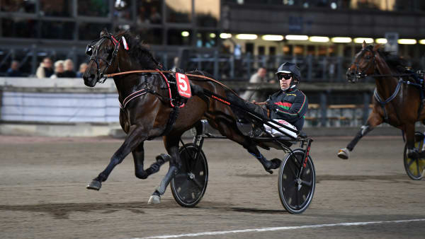 Foto: MALIN ALBINSSON / TR BILD