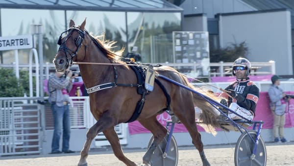 Foto: LARS JAKOBSSON / TR BILD
