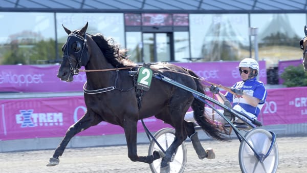 Foto: LARS JAKOBSSON / TR BILD