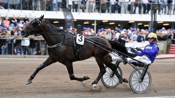 Foto: MALIN ALBINSSON / TR BILD