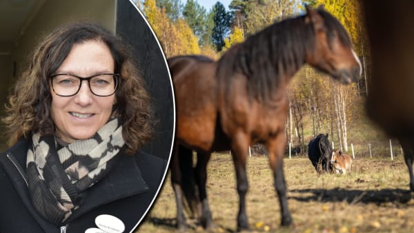 Foto: HASSE SVENNEHED/PRESSBILD/MONTAGE/TR