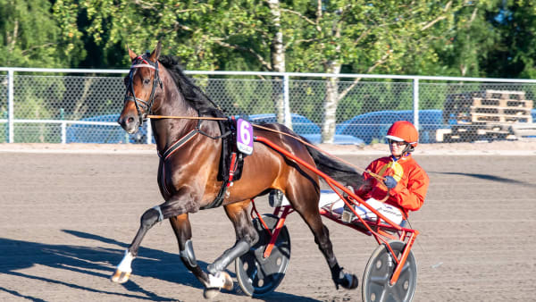 Foto: MIKAEL ROSENQUIST / TR BILD