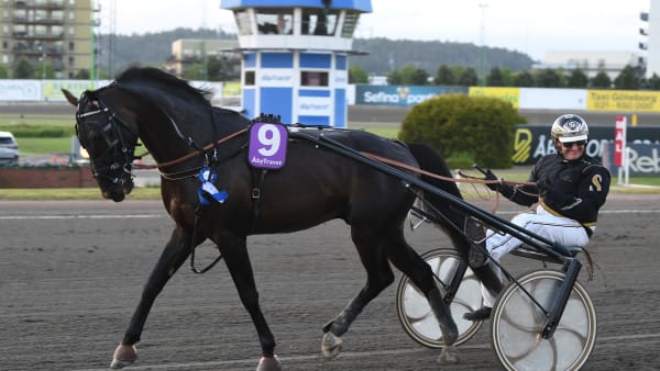 Foto: MALIN ALBINSSON / TR BILD
