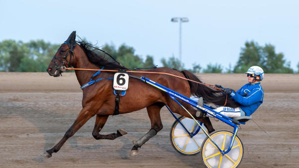 Foto: MIKAEL ROSENQUIST / TR BILD