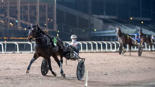 Foto: MIKAEL ROSENQUIST / TR BILD