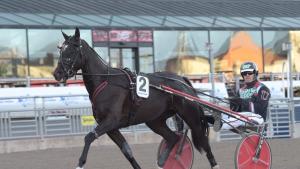 Foto: LARS JAKOBSSON / TR BILD