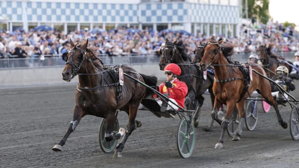 Foto: LENA EMMOTH / TR BILD