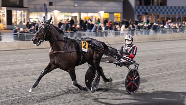 Foto: LENA EMMOTH / TR BILD